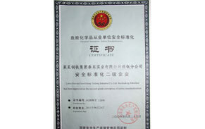 ?；钒踩珮藴驶C書